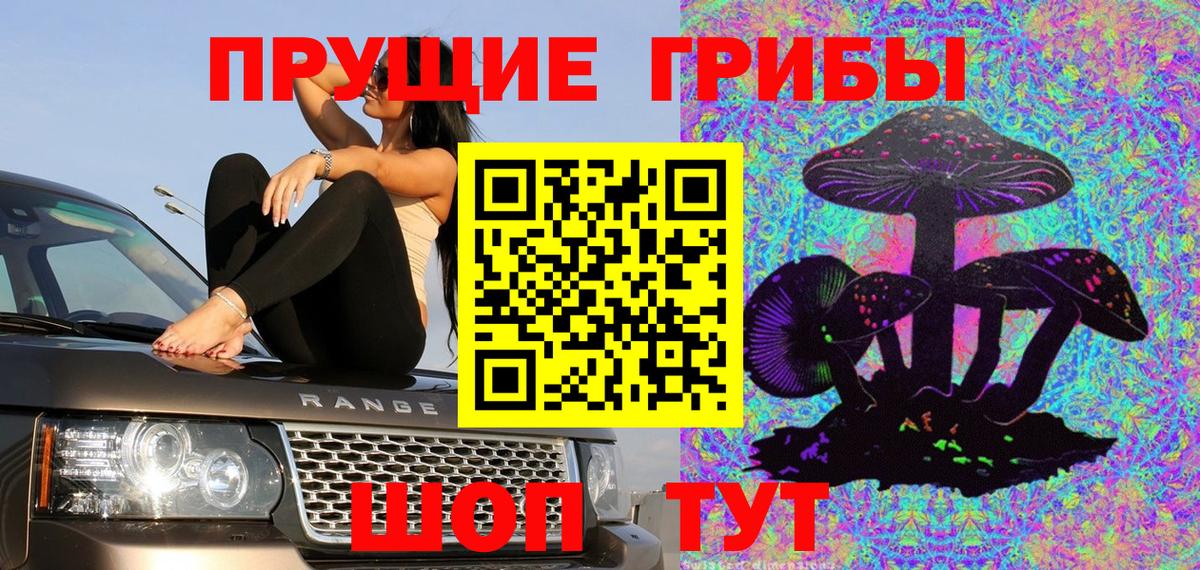 Псилоцибиновые грибы GOLDEN TEACHER  Галлюциногенные грибы GOLDEN TEACHER  Вход с VPN  Саратов 