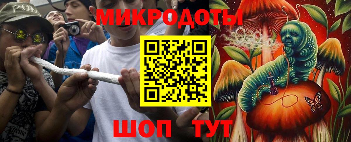 Псилоцибиновые грибы Psilocybe Саратов